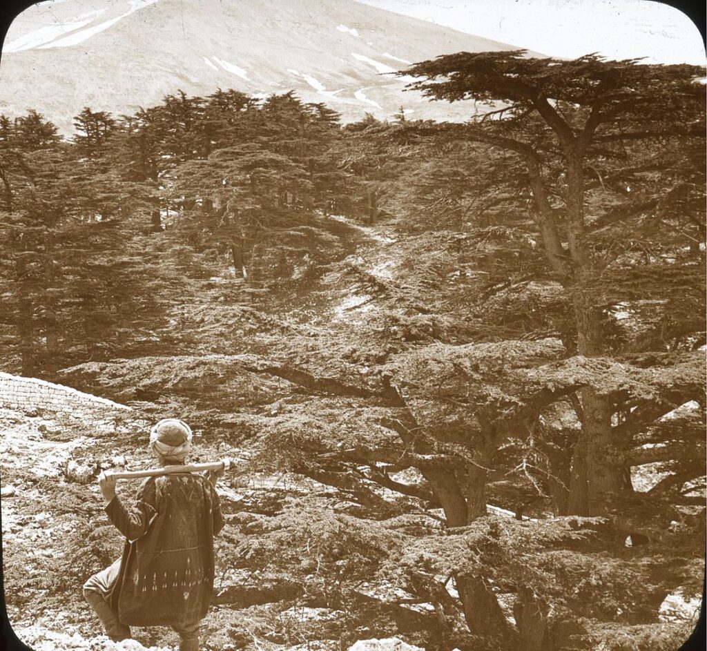 Charles Ough presenting at the 2025 BRISMES Conference in Newcastle